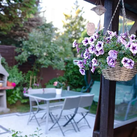 Zloto Baltyku Darłowo